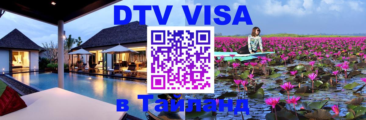 Оформление DTV визы под ключ: стоимость и тарифы, только загранпаспорт - Домодедово  07.12.2025 